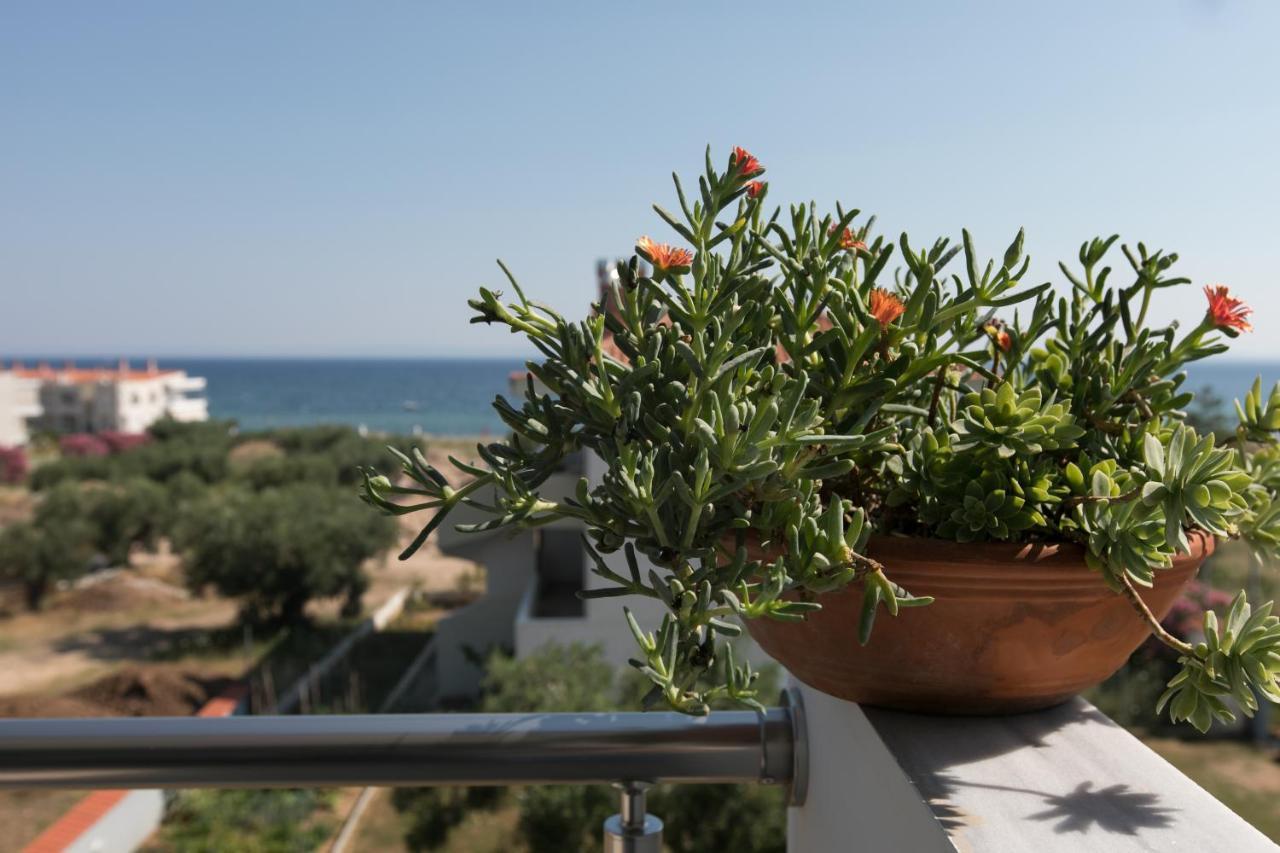 The House Of The Roses Apartment Gerakini Exterior photo